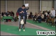 [Klasa u�ytkowa - JACINTO d'Jandilla]