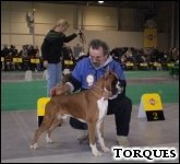 [M�. Zwyc. �wiata 2006 - CLORO del Colle dell'Infinito i Allesandro Tanoni]