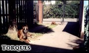 [Nudz� si�...]