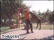 [Tomek, oddawaj, to moje!!!]